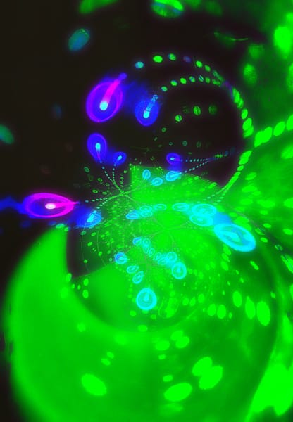 Warp Experiement Project (13)
